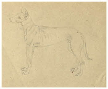 Visualizza l'immagine "FD D 1844"